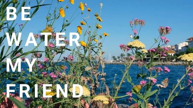 Title card: Be Water My Friend over wildflowers by the sea