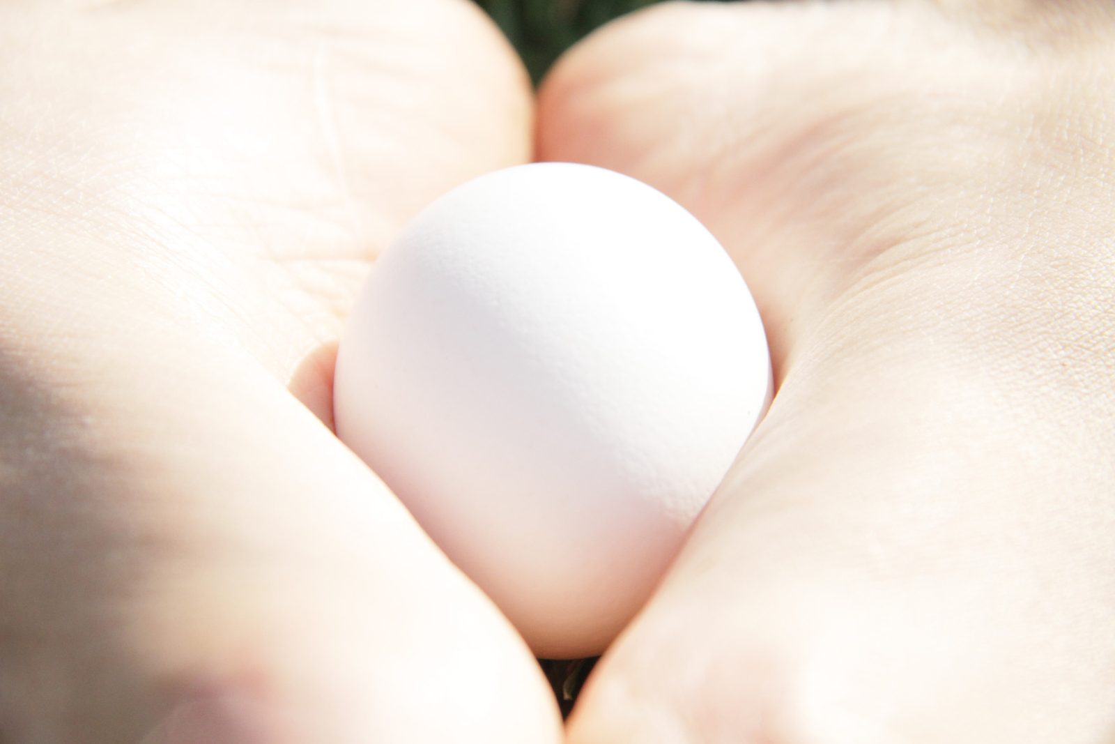An egg cradled between two bare feet