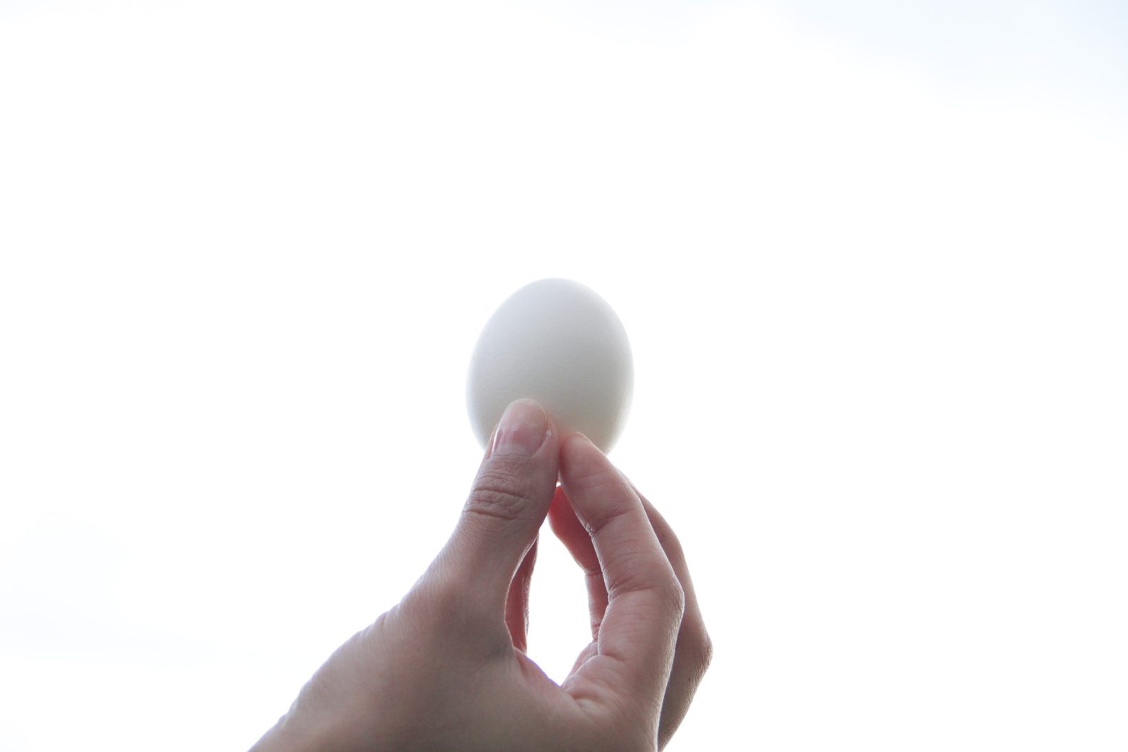 A hand holding an egg up against the light