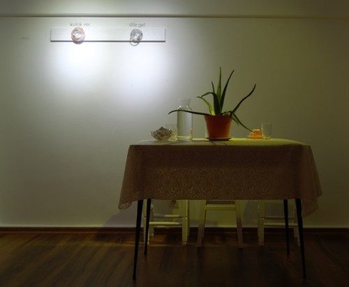 A small table with a plant and a lace cloth under a spotlight, two portraits on the wall above