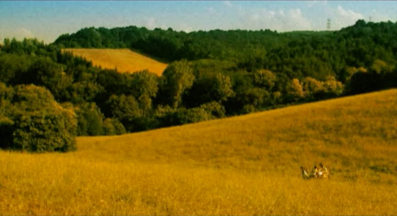 A golden meadow sloping down to a tree line, two figures seated in the grass